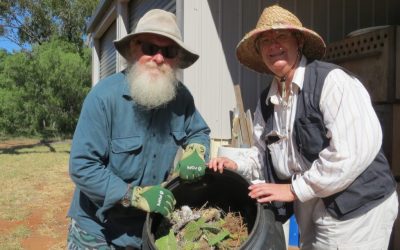 Blog post: A day in the life of a Wombat Caretaker at Richard Underwood Nature Refuge