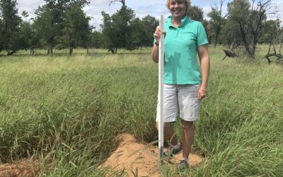 Blog post: new northern hairy-nosed wombat burrows discovered by The Wombat Foundation director Leanne Brosnan