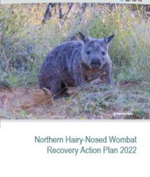 Recovery Action Plan 2022 released